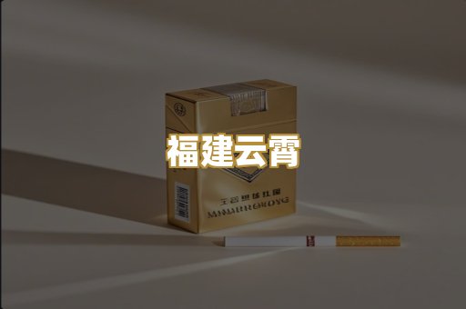 福建云霄
